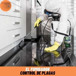 Empresa de Plagas - 🥇 El Fumigador